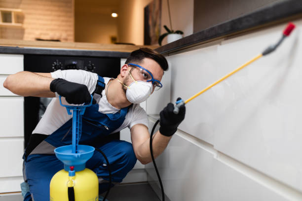 Best Best Pest Control Companies  in Huron, CA