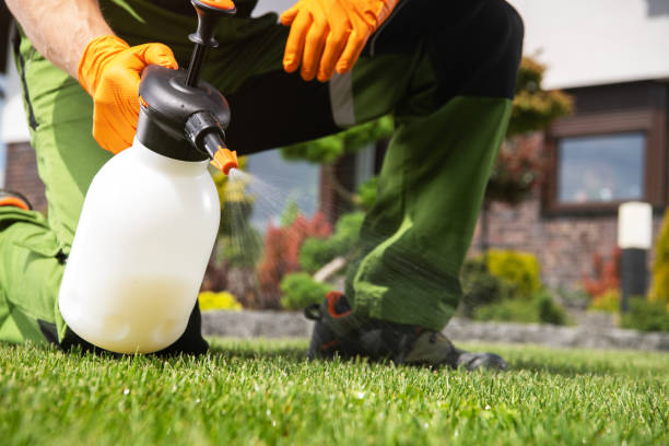 Flea Control Services in Huron, CA