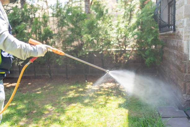 Pest Prevention Services in Huron, CA